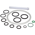 Birchmeier Viton O-Ring Kit