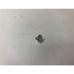 B & G Trigger Screw